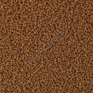 【新莊/五股/青島】高夠力 海水魚 海水A 海水S 小型 中大型 顆粒飼料 1kg 緩沉型 小丑魚-細節圖3