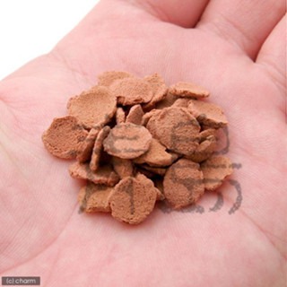 【青島水族】德國Sera喜瑞 異型片狀飼料 (草食性) (肉食性) 250ml 異型專用飼料沉底 異形成長 底棲魚 鼠魚-細節圖2