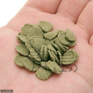 【青島水族】德國Sera喜瑞 異型片狀飼料 (草食性) (肉食性) 250ml 異型專用飼料沉底 異形成長 底棲魚 鼠魚-細節圖4