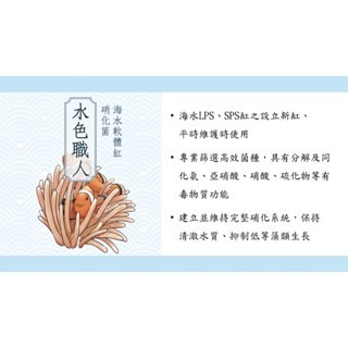 【五股/新莊/青島水族】台灣友浚 水色職人-海水軟體缸硝化菌 20G/80G 小丑魚 珊瑚 軟體 海水缸 海水軟體-細節圖2