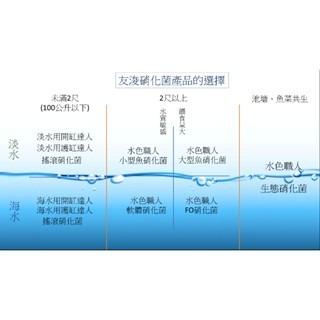 【五股/新莊/青島水族】台灣友浚 水色職人-海水軟體缸硝化菌 20G/80G 小丑魚 珊瑚 軟體 海水缸 海水軟體-細節圖5
