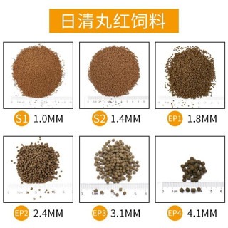日本製造1kg/2kg【新莊/五股/青島水族】日清丸紅 海水魚苗飼料 短雕 鬥魚孔雀魚 小型魚 熱帶魚 日本頂級飼料-細節圖2