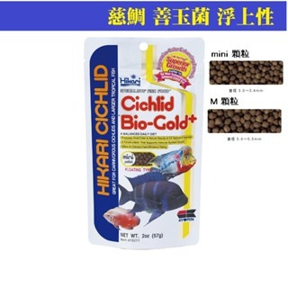 沉水 浮上性【新莊/五股/青島】日本 Hikari 高夠力 慈鯛 善玉菌 增豔 色揚飼料 MINI顆粒 M顆粒-細節圖4