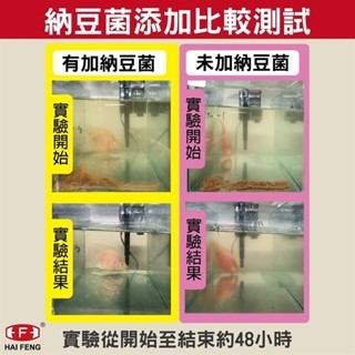 【青島水族】HAI FENG 海豐 親蜜伙伴GP+ 金魚 健康 增豔 飼料200g 800g 金魚 飼料 蘭壽 海豐飼料-細節圖4