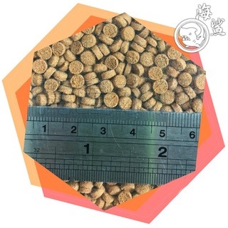【新莊/五股/青島水族】SEAxSHARK 海鯊 小顆粒 成長型 1kg 底棲 沉底飼料 肉食 雜食 鼠魚異型鯰魚鴨嘴-細節圖2