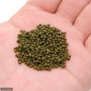 【新莊/五股/青島水族】德國Sera喜瑞 金魚 綠藻增豔顆粒/增豔顆粒飼料 250ml 1000ml 金魚飼料-細節圖4