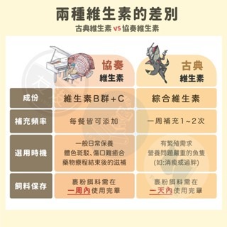 協奏維生素【五股/新莊/青島水族】台灣友浚 有菌乖乖 20g /80g 維他命 B群+C 傷口癒合、促進體色-細節圖5