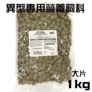 異型 飼料【新莊/五股/青島水族】高夠力 異形 300g 1kg 迷你顆粒 小片 大片 藻食片 藻類飼料 沉水性-細節圖2