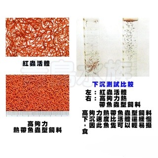 蟲型飼料【新莊/五股/青島水族】高夠力 熱帶魚 5g 73g 七彩 神仙 鬥魚 條狀 下沉性 增豔 紅蟲 22215-細節圖3