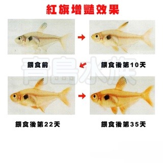 蟲型飼料【新莊/五股/青島水族】高夠力 熱帶魚 5g 73g 七彩 神仙 鬥魚 條狀 下沉性 增豔 紅蟲 22215-細節圖5