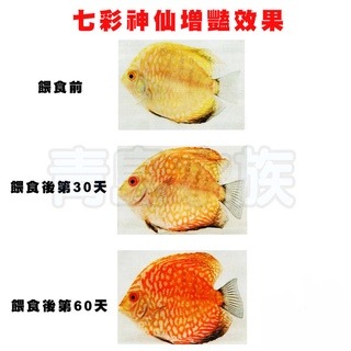 蟲型飼料【新莊/五股/青島水族】高夠力 熱帶魚 5g 73g 七彩 神仙 鬥魚 條狀 下沉性 增豔 紅蟲 22215-細節圖7