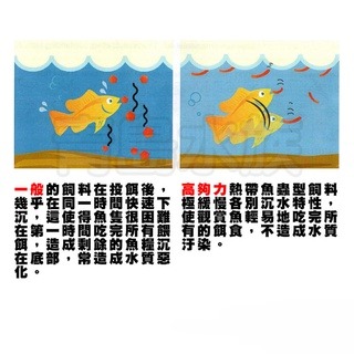 蟲型飼料【新莊/五股/青島水族】高夠力 熱帶魚 5g 73g 七彩 神仙 鬥魚 條狀 下沉性 增豔 紅蟲 22215-細節圖8