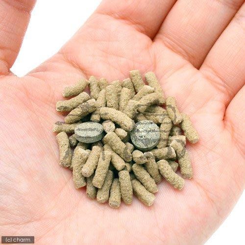 【青島水族】德國Sera喜瑞 歐陸.陸龜 爬蟲 草食性 飼料 1000ml S1834-細節圖3