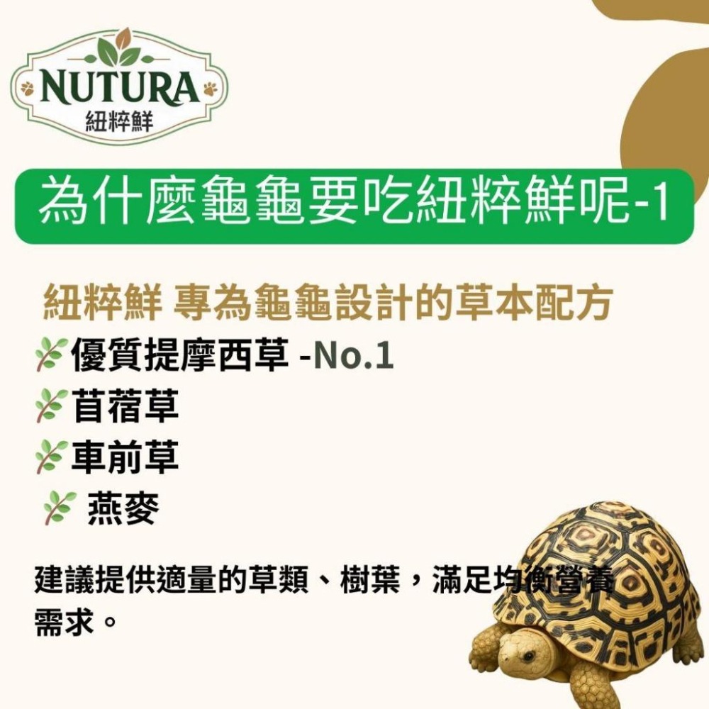 陸龜草本飼料【青島水族】Nutura紐粹鮮 全方位 陸龜飼料 小/中顆粒 車前草 提摩西草 苜蓿草 牧草 幼龜 靈芝-細節圖4