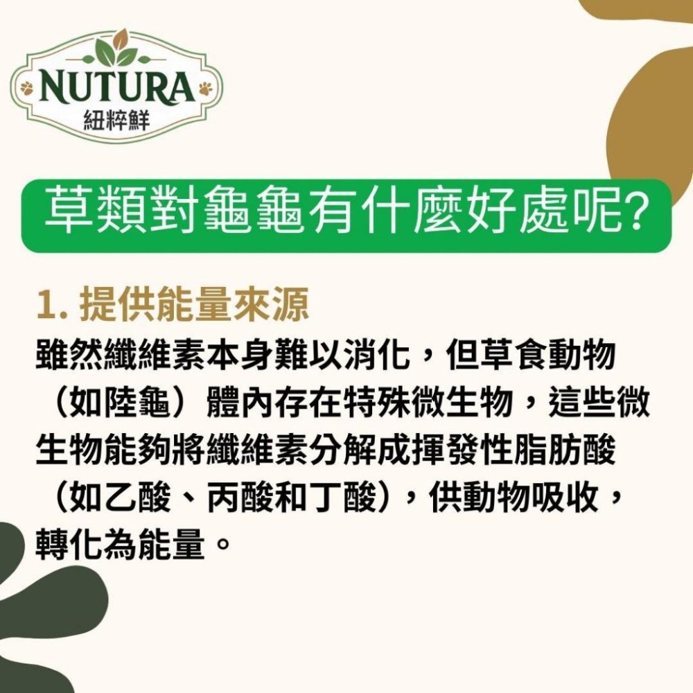 陸龜草本飼料【青島水族】Nutura紐粹鮮 全方位 陸龜飼料 小/中顆粒 車前草 提摩西草 苜蓿草 牧草 幼龜 靈芝-細節圖5