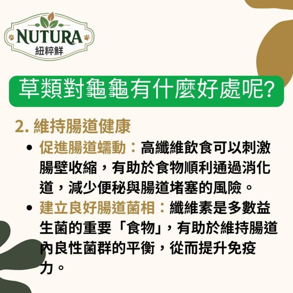 陸龜草本飼料【青島水族】Nutura紐粹鮮 全方位 陸龜飼料 小/中顆粒 車前草 提摩西草 苜蓿草 牧草 幼龜 靈芝-細節圖6