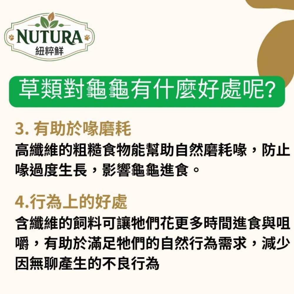 陸龜草本飼料【青島水族】Nutura紐粹鮮 全方位 陸龜飼料 小/中顆粒 車前草 提摩西草 苜蓿草 牧草 幼龜 靈芝-細節圖7