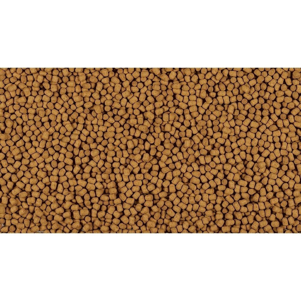 【新莊/五股/青島】德國Tetra德彩 博士金選 SUPER健康水龜飼料 中顆粒 大顆粒 澤龜 發色 維生素A、D3-細節圖5