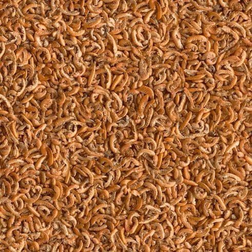 【青島水族】德國Tetra 德彩 乾燥淡水蝦 (全蝦) 烏龜飼料 蠑螈 青蛙  兩棲爬蟲飼料 250ml T197-細節圖2