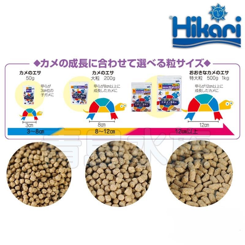 【青島水族】日本Hikari高夠力 =XL特大顆粒/1KG送蟲乾20g=飼育教材 烏龜飼料 澤龜 納豆菌 善玉菌-細節圖3
