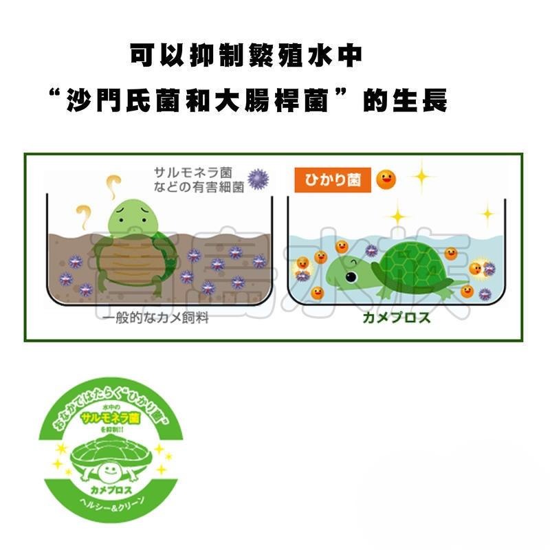 【青島水族】日本Hikari高夠力 =XL特大顆粒/1KG送蟲乾20g=飼育教材 烏龜飼料 澤龜 納豆菌 善玉菌-細節圖6