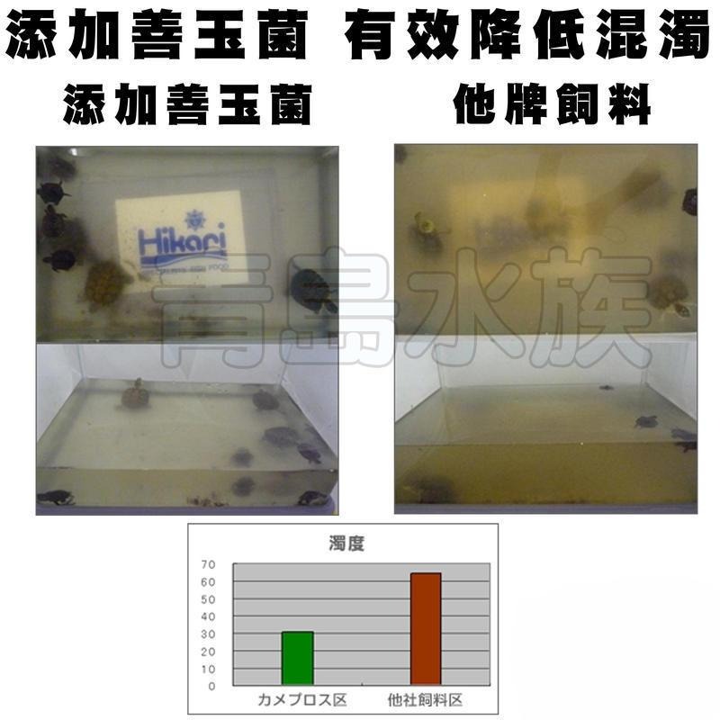 【青島水族】日本Hikari高夠力 =XL特大顆粒/1KG送蟲乾20g=飼育教材 烏龜飼料 澤龜 納豆菌 善玉菌-細節圖7