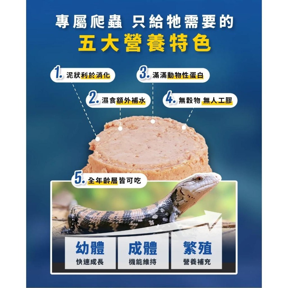 爬蟲專用罐頭【新莊/五股/青島水族】 飼料 藍舌蜥 泰加 南美蜥 巨蜥 麵包蟲 鮮兔肉 白鼠肉 青蛙肉 蜥蜴 適口性佳-細節圖2