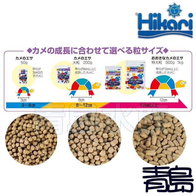 【青島水族】日本Hikari高夠力=S小顆粒 L大顆粒 XL特大顆粒=第三代 飼育教材 澤龜烏龜飼料-細節圖3