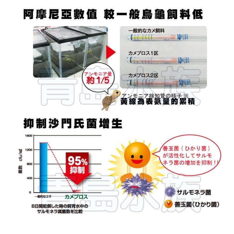 【青島水族】日本Hikari高夠力=S小顆粒 L大顆粒 XL特大顆粒=第三代 飼育教材 澤龜烏龜飼料-細節圖7