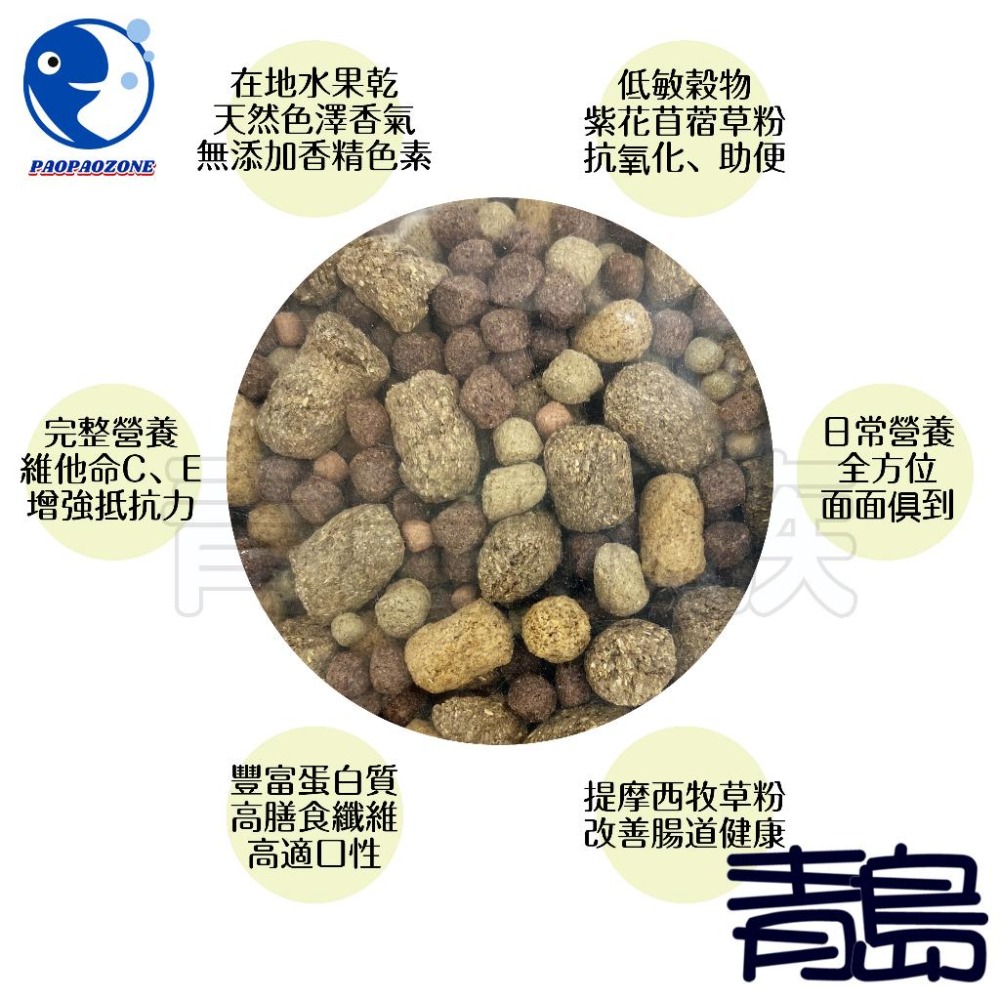 【新莊/五股/青島水族】泡泡龍 五合一 綜合龜糧 成龜1kg 陸龜飼料 全方位主食 天然水果 牧草 苜蓿草-細節圖2
