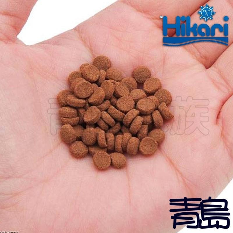 【青島水族】日本 Hikari 高夠力 第三代 六角恐龍飼料 M大顆粒/30g S小顆粒/30g 娃娃魚 蠑螈 山椒魚-細節圖4
