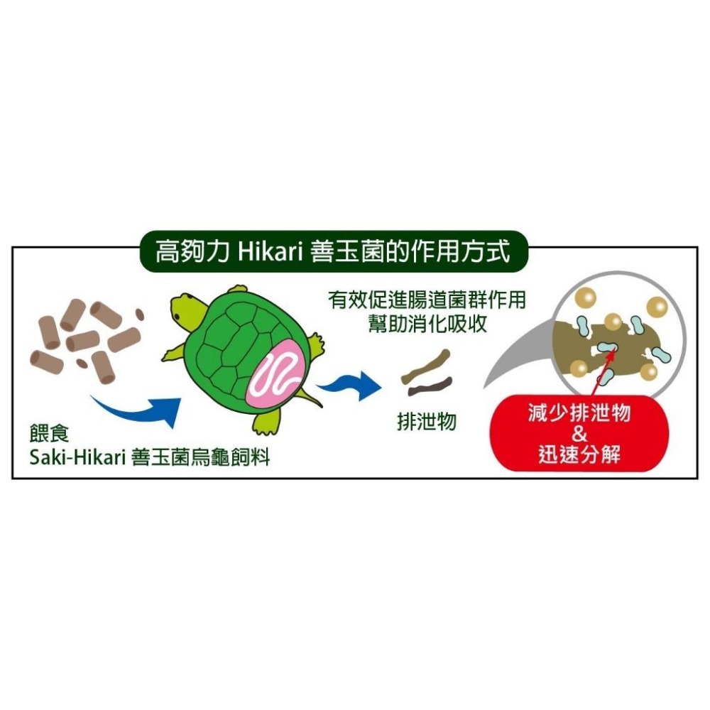 【新莊/五股】日本Hikari 高夠力 大型澤龜飼料【18公分以上龜】三種善玉菌 成龜  烏龜飼料 600g-細節圖4