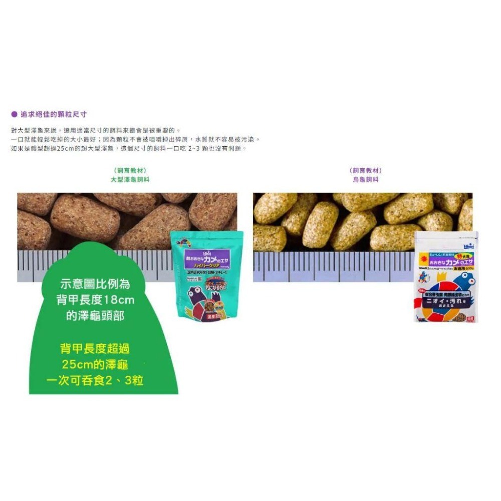 【新莊/五股】日本Hikari 高夠力 大型澤龜飼料【18公分以上龜】三種善玉菌 成龜  烏龜飼料 600g-細節圖5