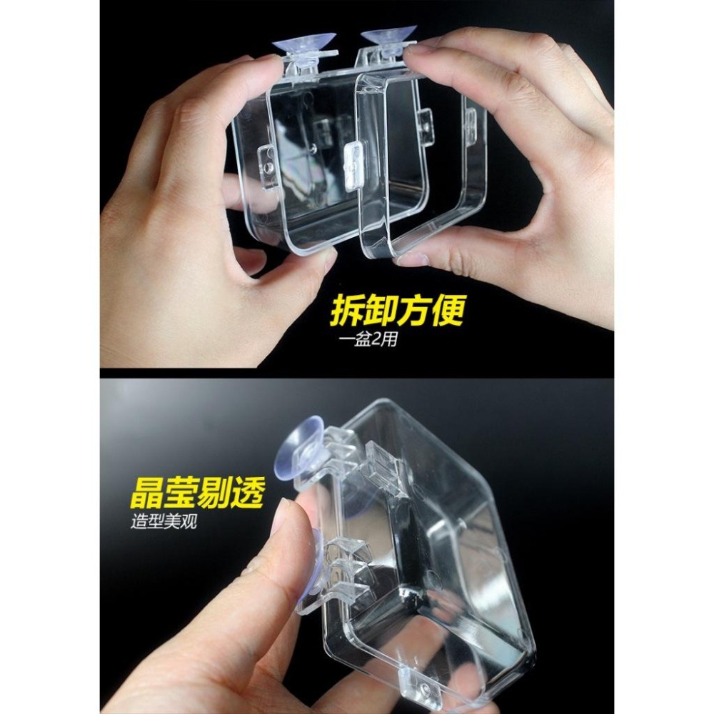 【新莊/五股/青島水族】NOMO諾摩 吸盤 防逃餵食器 守宮餵食 麵包蟲餵食器 老鼠餵食 爬蟲餵食器 餵食盆 飲水盆-細節圖5