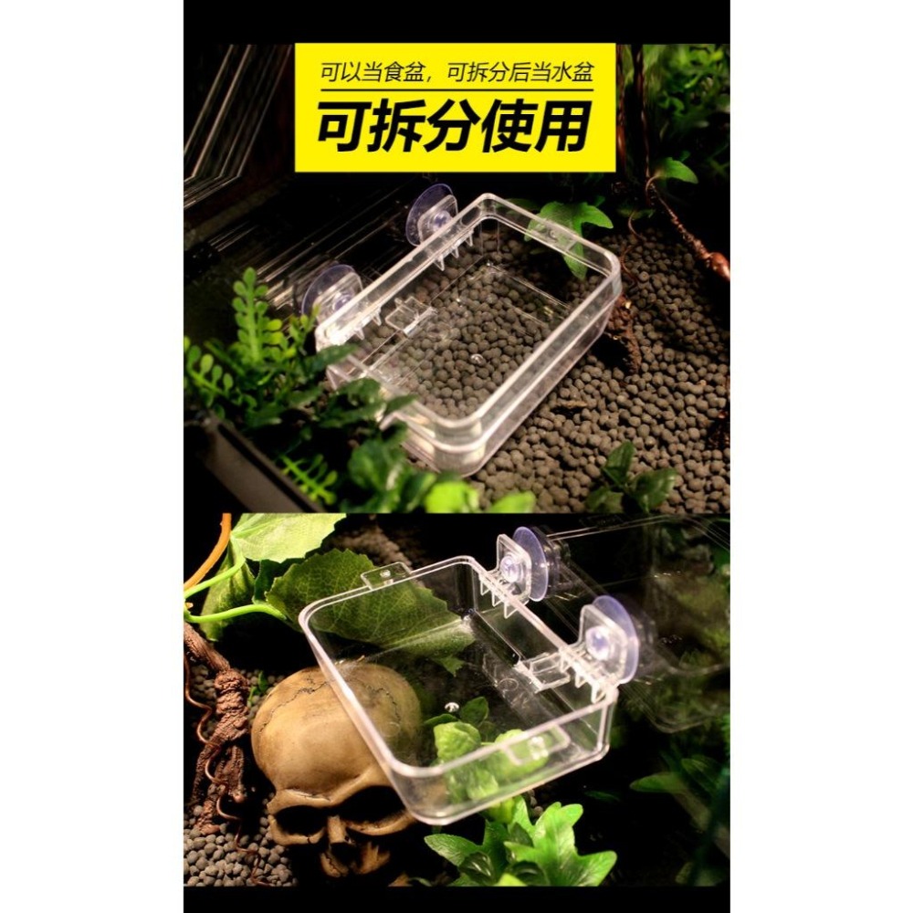 【新莊/五股/青島水族】NOMO諾摩 吸盤 防逃餵食器 守宮餵食 麵包蟲餵食器 老鼠餵食 爬蟲餵食器 餵食盆 飲水盆-細節圖6