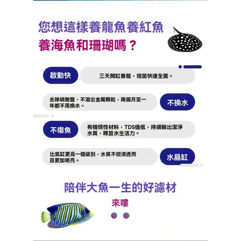 可機洗蛋糕濾材【新莊/五股/青島】嘟嘟飛DODOFLY 5D海霸王 海綿濾材 培菌磚 淡海水 強效培菌 魚缸過濾淨化水質-細節圖4