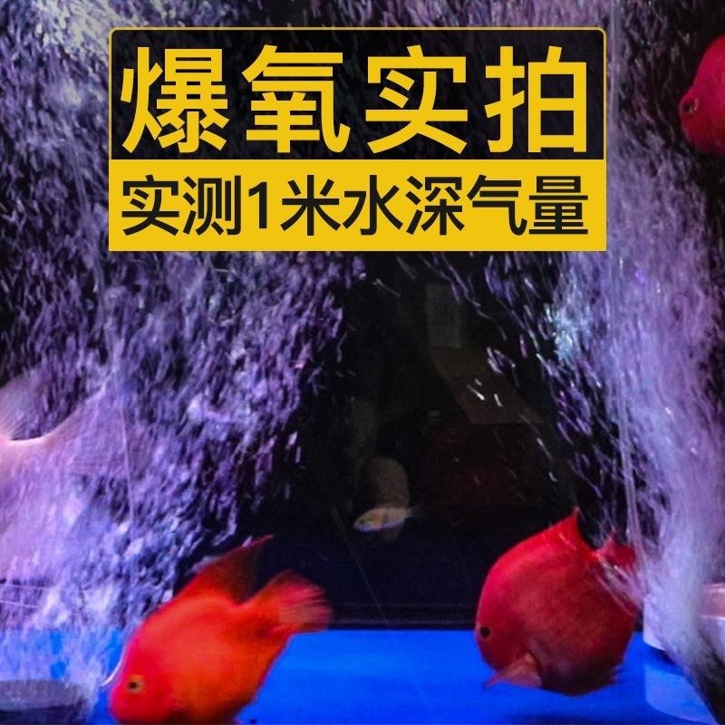 【55L大氣量打氣機】【新莊/五股/青島水族】JENECA金利佳=DB-58 空氣幫浦 增氧機 氣汞 氣泡石 鼓風機-細節圖2