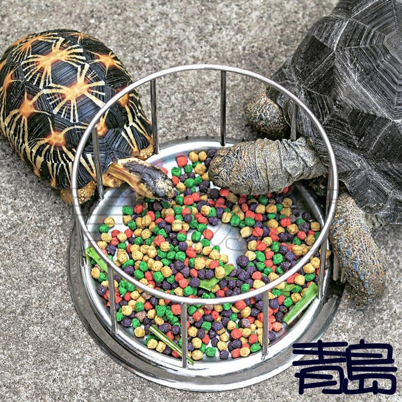 304不銹鋼【新莊/五股/青島水族】食盆 水盆  餵食器 食物盆 食物盤 水盤 蘇卡達 豹龜 赫曼 幼龜 不鏽鋼-細節圖5