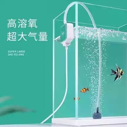 低功率 大氣量/全配【新莊/五股/青島水族】Nepall 迷你靜音打氣機 空氣馬達 桌面魚缸 小魚缸 小型缸 高溶氧-細節圖3