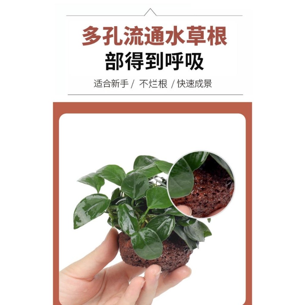 【新莊/五股/青島水族】火山岩 洞穴 孔穴式 多孔可培菌 淨水 硝化 濾材 過濾水族箱魚缸 造景 石頭 底砂 躲藏-細節圖4