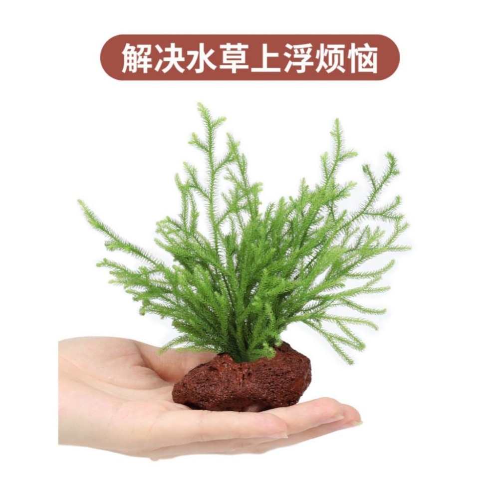 【新莊/五股/青島水族】火山岩 洞穴 孔穴式 多孔可培菌 淨水 硝化 濾材 過濾水族箱魚缸 造景 石頭 底砂 躲藏-細節圖5