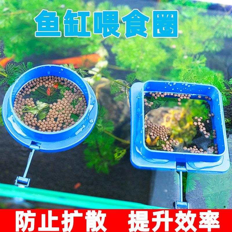 飼料不亂飄【新莊/五股/青島水族】浮力式餵食框 圓型/方型(藍色款) 飼料集中器 餵食網  餵食圈-細節圖6