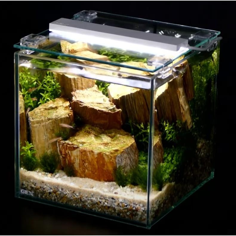 【新莊/五股/青島水族】日本 GEX 五味 高輝度 LED 夾燈 14cm 黑色 白色 白光 藍光-細節圖2