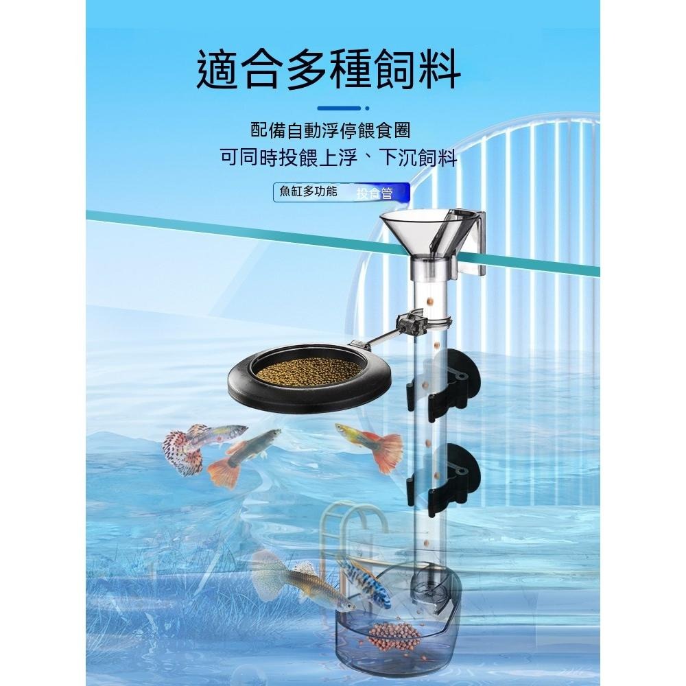 全功能餵食器【新莊/五股/青島水族】 水晶蝦 餵食盆 投食管 餵食器 飼料 集中盆 水族 餵食圈-細節圖3