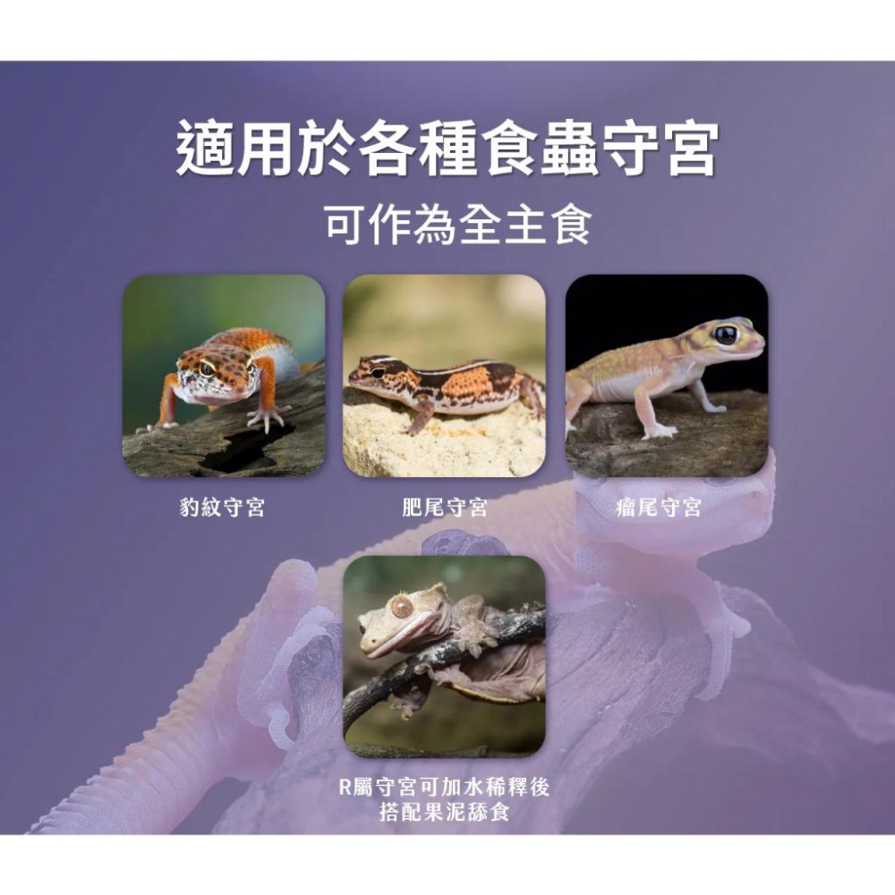 守宮蟲泥 蔬菜蟲泥 水果蟲泥【新莊/五股/青島水族】鬆獅蜥 樹棲守宮 守宮 飼料 主食 適口性佳 角落水族-細節圖4