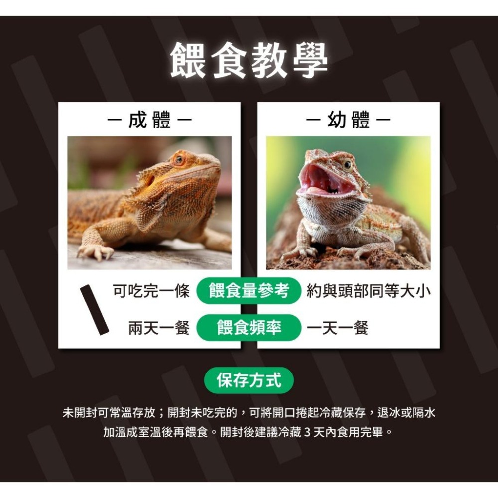 守宮蟲泥 蔬菜蟲泥 水果蟲泥【新莊/五股/青島水族】鬆獅蜥 樹棲守宮 守宮 飼料 主食 適口性佳 角落水族-細節圖9