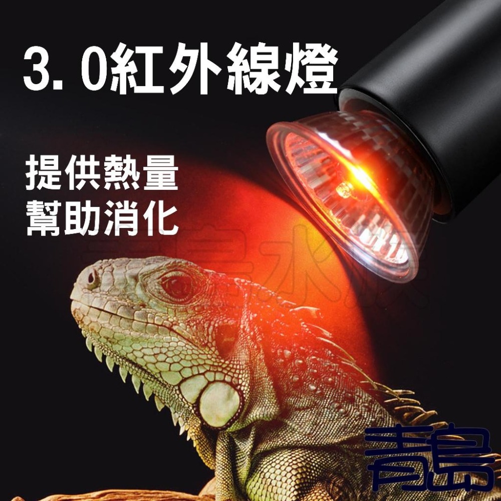 增強版/UVB 3.0【新莊/五股/青島】 加熱燈泡 紅外線 夜間 爬蟲加熱燈 曬背燈 加溫燈 陸龜  水龜 鸚鵡-細節圖2
