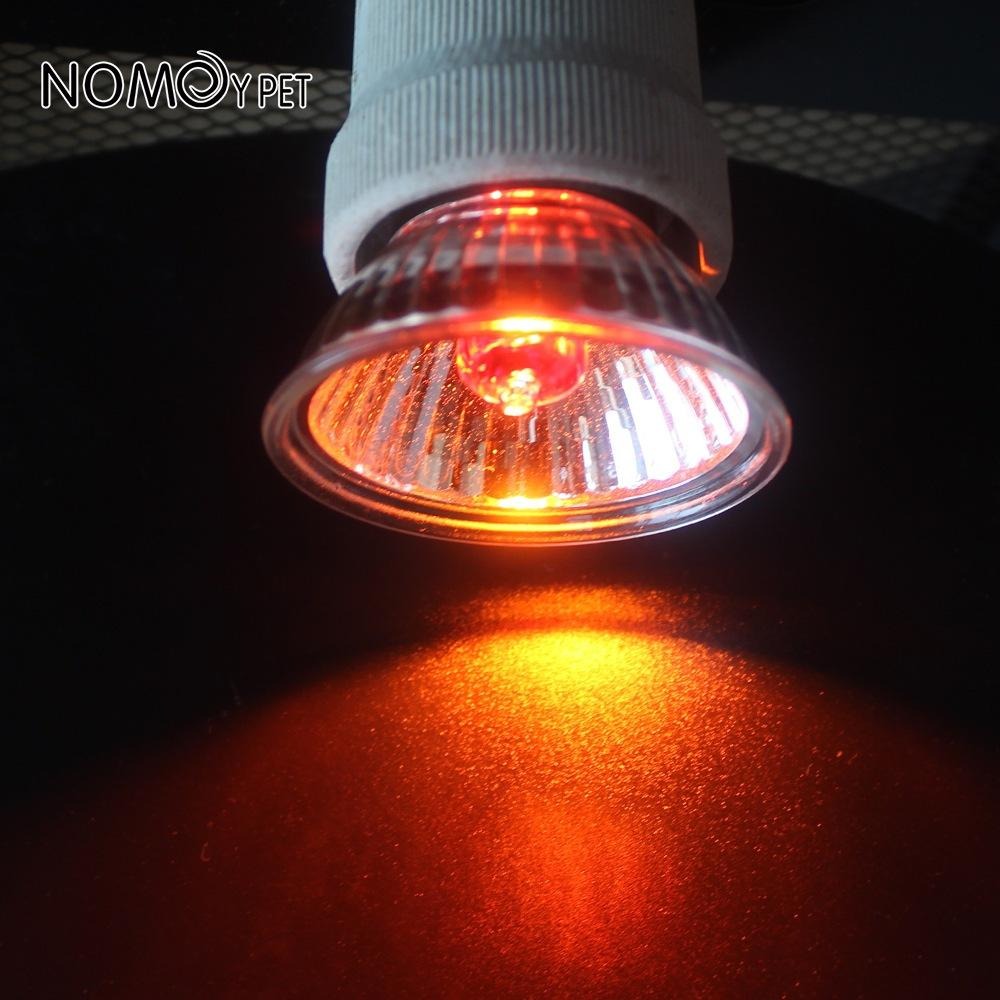 增強版/UVB 3.0【新莊/五股/青島】 加熱燈泡 紅外線 夜間 爬蟲加熱燈 曬背燈 加溫燈 陸龜  水龜 鸚鵡-細節圖6