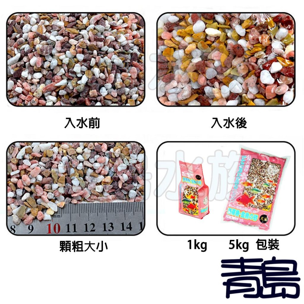 【青島水族】日本SUDO=5KG=金魚砂 櫻花大磯砂 熱帶魚 天然砂礫 造景底沙 水草 S-8965-細節圖5
