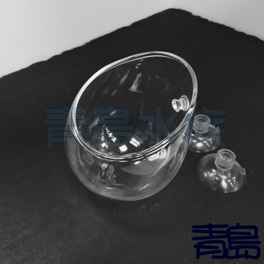 【新莊/五股/青島水族】玻璃工房 水草 超厚超白玻璃育景杯 (缸內型/波爾卡型)-細節圖2